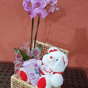 Cesta  mães 3