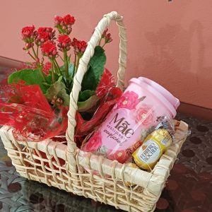 Cesta  mães 5