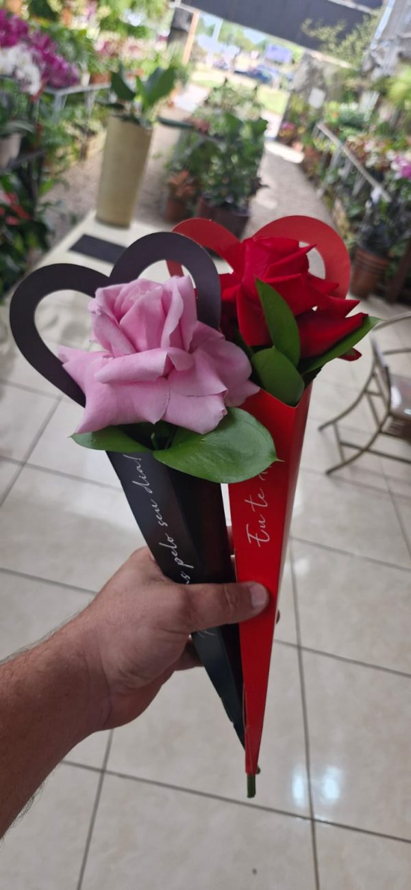 Cone 1 rosa é o amor