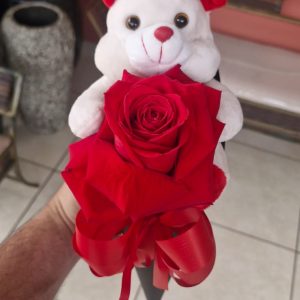 Cone 1 rosa + urso