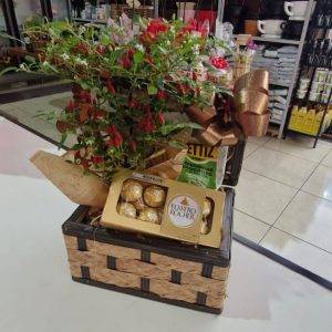 Cesta pimenteira